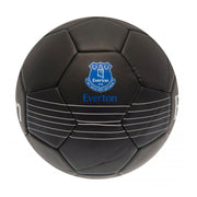 Everton FC React Skill Ball