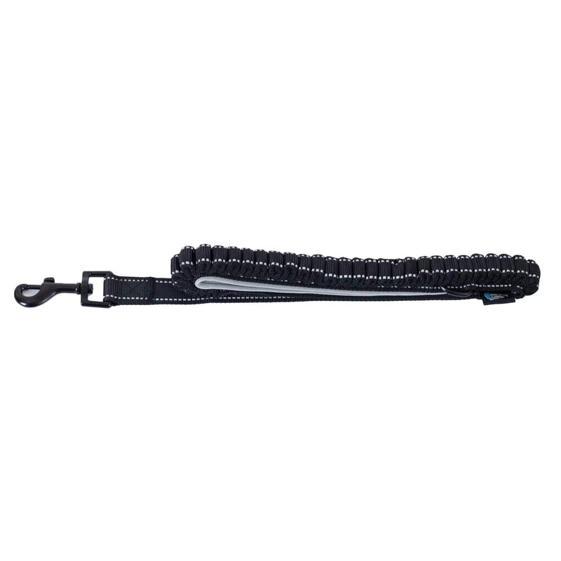 Newcastle United FC Reflective Dog Lead