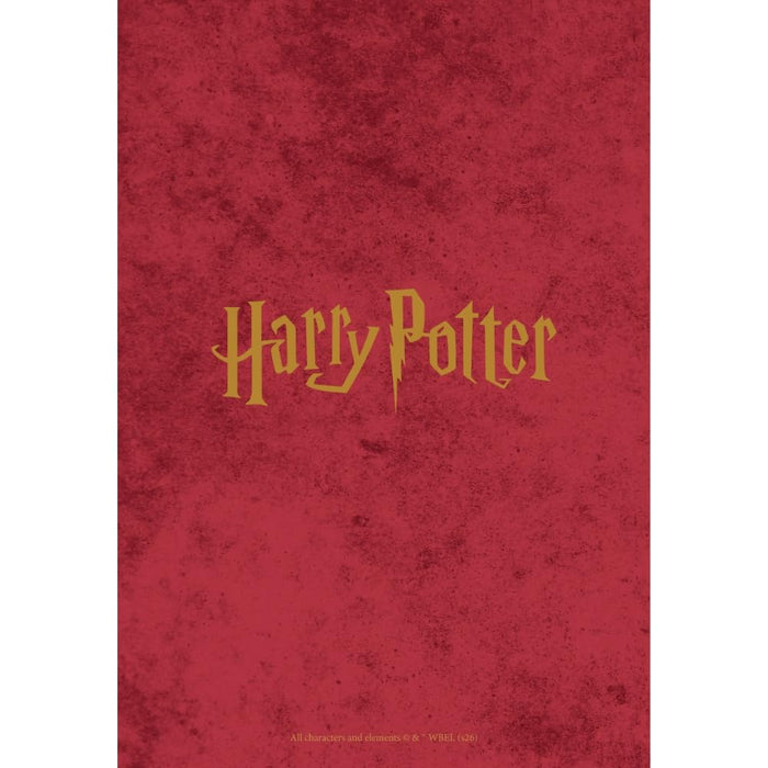 Harry Potter A5 Diary 2027