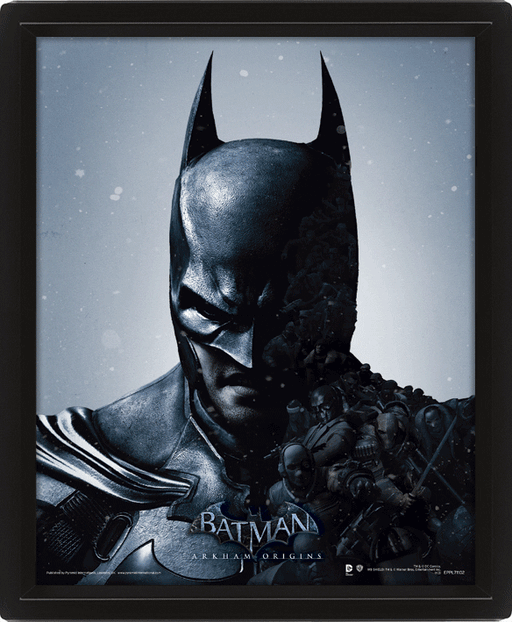 Batman Framed 3D Picture - Excellent Pick