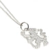 Chelsea FC Sterling Silver Pendant & Chain LN - Excellent Pick