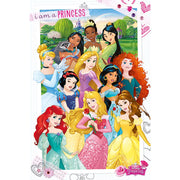 Disney Princess Poster 286 - Excellent Pick