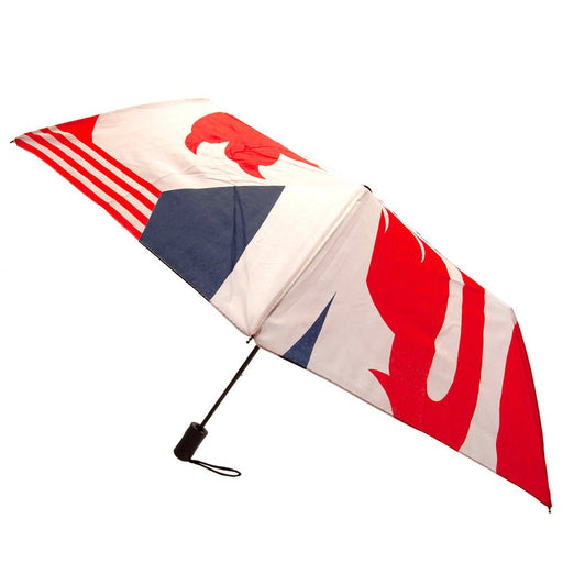 England FA Automatic Umbrella - Excellent Pick
