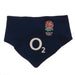 England RFU 2 Pack Bibs PC - Excellent Pick