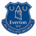 Everton FC 3D Fridge Magnet - Excellent Pick