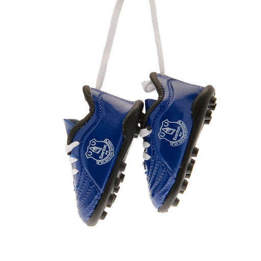 Everton FC Mini Football Boots - Excellent Pick