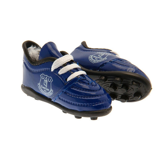 Everton FC Mini Football Boots - Excellent Pick