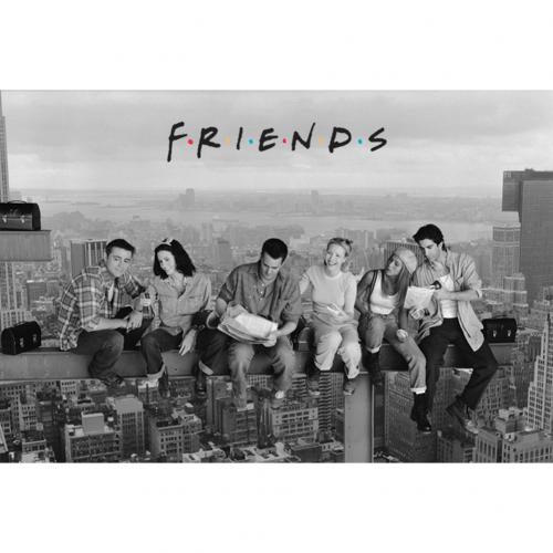 Friends Poster Skyscraper 127 - Excellent Pick