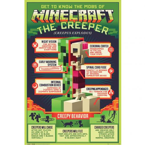 Minecraft Poster Creeper 131 - Excellent Pick