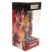 Rocky MINIX Figure Rocky Balboa - Excellent Pick