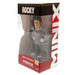 Rocky MINIX Figure Rocky Balboa Training - Excellent Pick